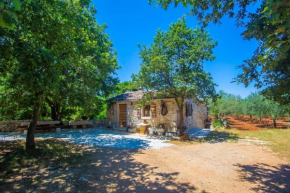 Holiday House Legovic